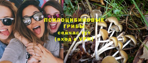 молекула духа Алексин